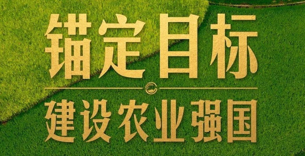 點燃現(xiàn)代農(nóng)業(yè)創(chuàng)新引擎，釋放農(nóng)業(yè)領(lǐng)域新質(zhì)生產(chǎn)力